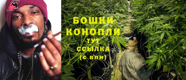 прущие грибы Бронницы