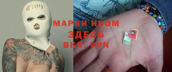 прущие грибы Бронницы