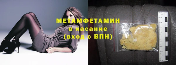 прущие грибы Бронницы