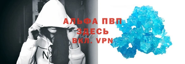прущие грибы Бронницы