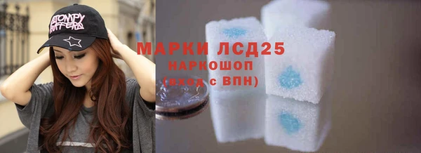 прущие грибы Бронницы