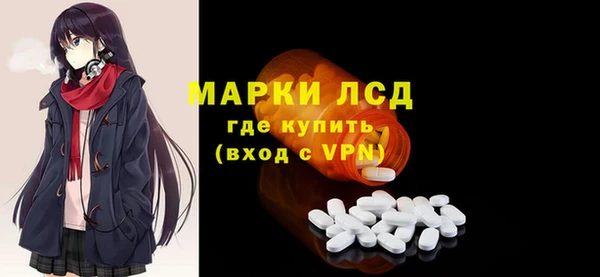 прущие грибы Бронницы
