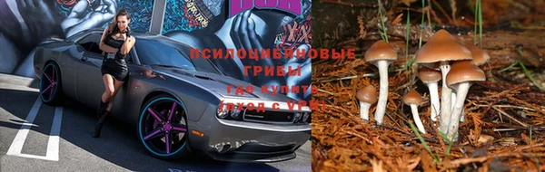 кристаллы Бородино