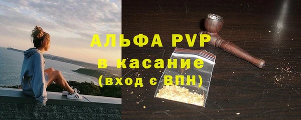 прущие грибы Бронницы