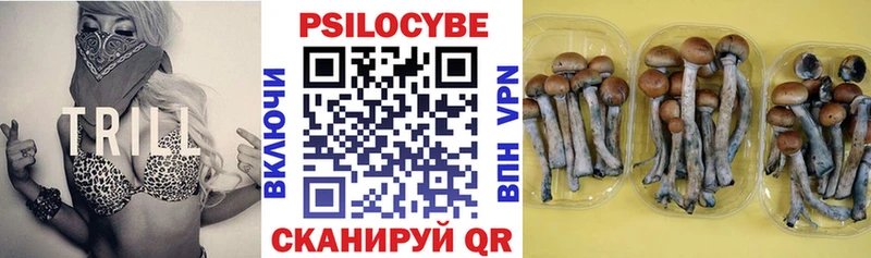 Галлюциногенные грибы прущие грибы Павловский Посад
